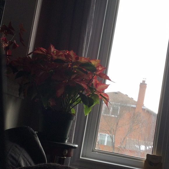 Meet your Posher, Afsan - Picture 1 of 1